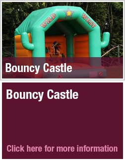 bouncycastleslider.jpg