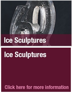 related_icesculptures.jpg