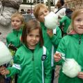 Colour Coded Candyfloss